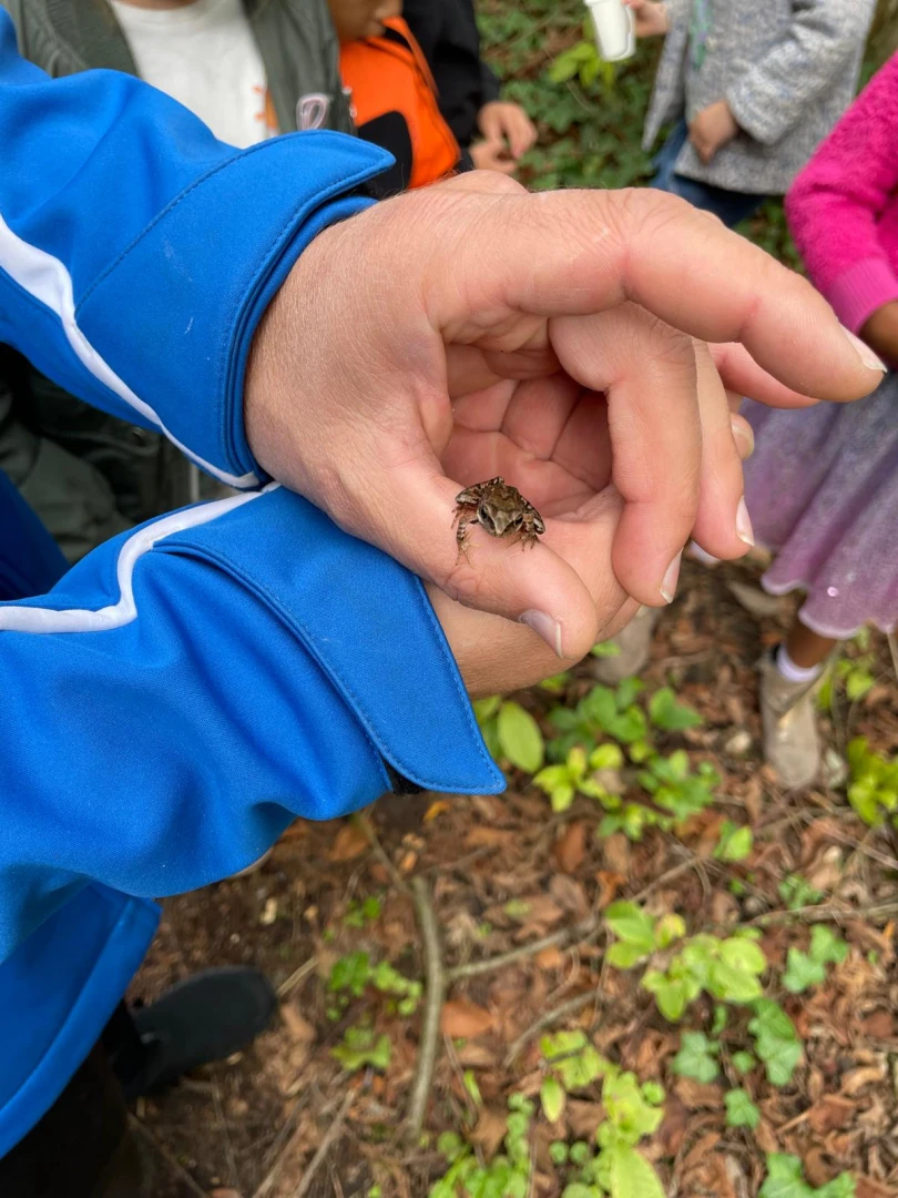 Maandblog – September 2025