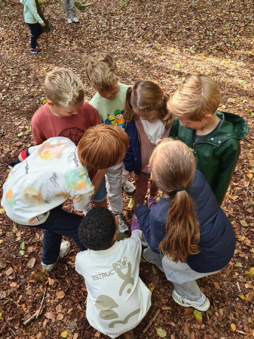 Maandblog oktober 2025